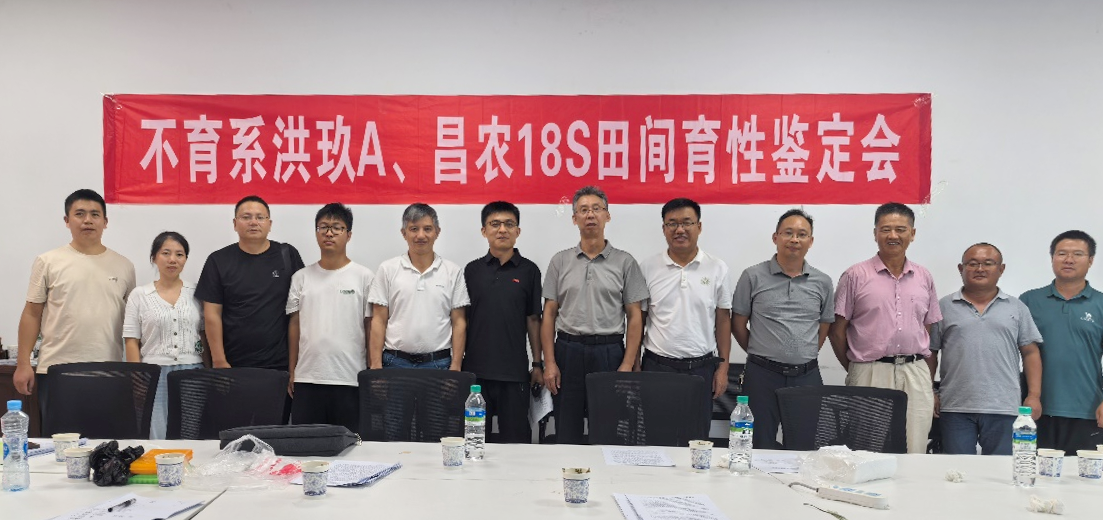 微信图片_20250919085438.png